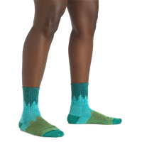 Darn Tough 1971 Treeline Micro Crew Midweight with Cushion - Women's